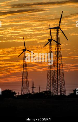 Windmills in Jaisalmer desert area, view from Bara bagh Jaisalmer, Rajasthan India Stock Photo