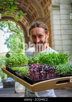 Microgreen. Bearded guy holding a tray with various microgreens Stock Photo