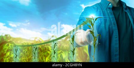 Futuristic technology trend concept of smart farm, agriculture. Farmer use artificial intelligence to increase growth rate of crop yield, monitor crop Stock Photo