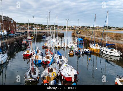 Sailing boats and yachts in the harbour, North Berwick, East Lothian, Scotland, UK Stock Photo