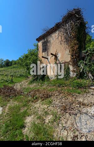 An old ruined building in the vineyards under a blue sky. Langhe hills (Piedmont, Italy) Stock Photo