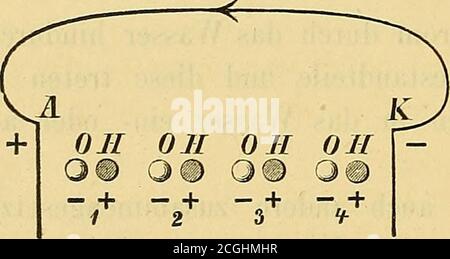 . Elektrizitätslehre für Mediziner und Elektrotherapie . s an. Vonden Bestandteilen des Elektrolytennun, als welcher hier Wasser ge-dacht ist, sind alle Sauerstoflfteil-chen negativ, alle Wasserstoflfteil-chen hingegen positiv elektrisch.r,. o Der Strom richtet sie daher so, th(J. o. dass die Wasserstoffteilchen nachder Kathode, die Sauerstoffteilchen nach der Anode hinsehen. Nun•zieht die Anode das negative Sauerstoffteilchen des Wassermoleküls 1an und dieses wird frei. Das erste Wasserstoffteilchen reisst nun daszweite Sauerstoffteilchen an sich, das zweite Wasserstoffteilchen dasdritte Saue Stock Photo