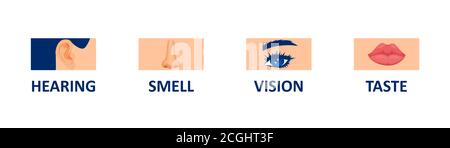 vector set of human senses, vision, hearing, smell and taste on white background Stock Vector