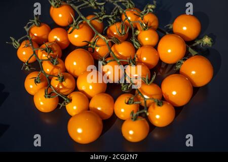 Fresh orange Baby plum tomatoes, on branch. Orange plum tomato isolated on black. Stock Photo