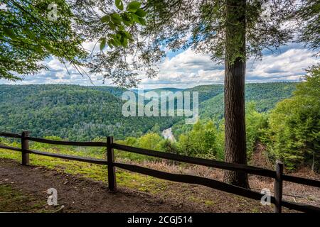 View from Canyon Vista overlook in Worlds End State Park in  Forksville, PA Stock Photo