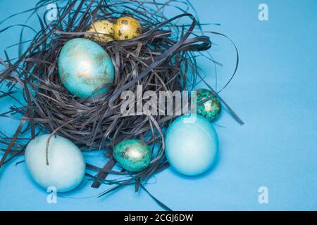 Blue and gold chicken and quail Easter eggs in a nest on a blue background. Free space for text. Happy Easter Stock Photo