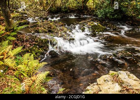 A small cascade in a stream in the Lake District near Coniston Water. Stock Photo