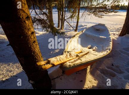 Pair of wooden oars and a rowboat / skiff full of snow and ice at Winter , Finland Stock Photo