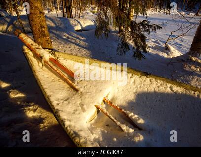 Pair of wooden oars and a rowing boat / skiff full of snow and ice at Winter , Finland Stock Photo