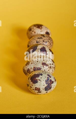 Five quail eggs lie in a row on a yellow background, close-up, vertical format Stock Photo