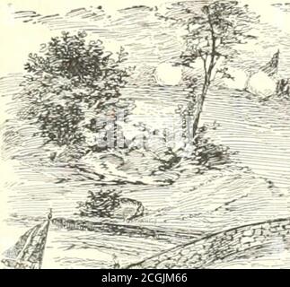 ross washington pike