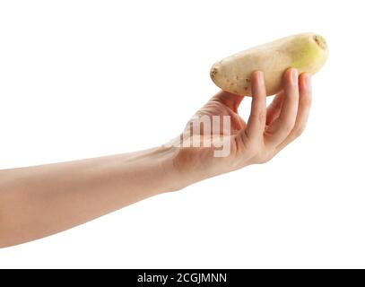 daikon radish in hand path isolated on white Stock Photo
