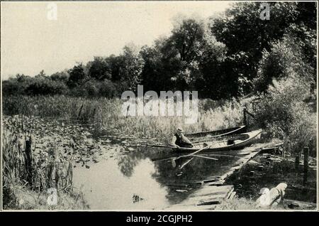 . Centennial history and handbook of Indiana : the story of the state from its beginning to the close of the civil war, and a general survey of progress to the present time . In Quiet Cherry Creek, at Winona, Kosciusko County.. Among the Lily Pads, at Winona Lake, Kosciusko County. 19 Stock Photo