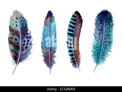 Watercolor feathers set isolated on white. Hand drawn watercolour bird feather vibrant boho style bright illustration. Print design for t-shirts, invi Stock Vector