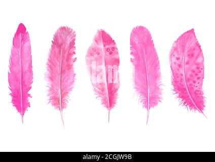 Watercolor pink feathers set isolated on white. Hand drawn watercolour bird feather vibrant illustration. Print design for t-shirts, invitation, weddi Stock Vector