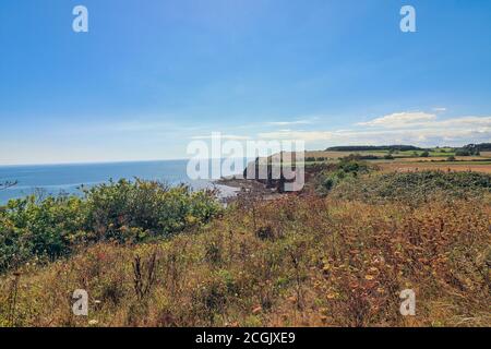 Coastal Countryside near Ladram Bay, Devon Stock Photo
