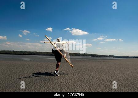 Moules Marinieres  ( mussels ) , Coastal Area of Brittany, France. Stock Photo