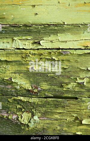 Lime green and old peeling worn paint on clapboard weathered wood cladding. Texture textured background. Stock Photo