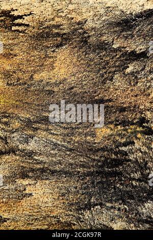 Ochre orange yellow black rust textured abstract background. Autumnal colours and rust texture. Stock Photo