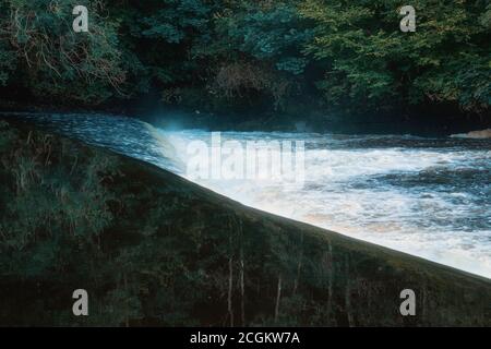 Small waterfall on the Clyde River. The mirrored surface of the river reflects a dense forest on the river bank. The Clyde Walkway. New Lanark, Scotland, United Kingdom Stock Photo