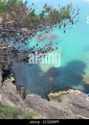 Pine branch with cones over azure Adriatic sea. Scenic coastal rocks. Beautiful summer.  pine and sea. View on calm blue waters of Mediterranean sea. Stock Photo