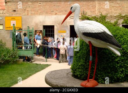 Racconigi, Piedmont/Italy-06/05/2001-The recovery center for storks and migratory birds. Stock Photo