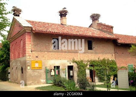 Racconigi, Piedmont/Italy-06/05/2001-The recovery center for storks and migratory birds. Stock Photo