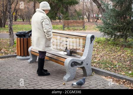 Retired woman is feeding a squirrel and pigeons in the park, standing near the bench, in the autumn. Stock Photo