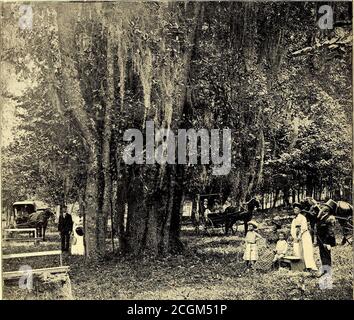 . Sponsor souvenir album : history & reunion (1895) . Stock Photo