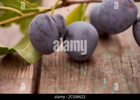 Ripe prunes with green leaves lie on a wooden board Stock Photo