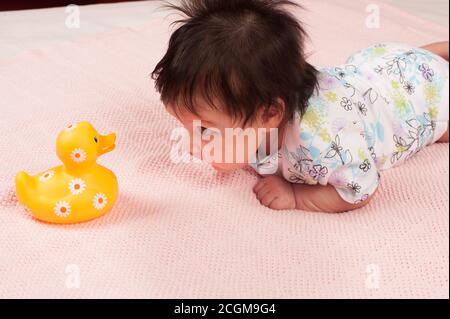 newborn baby girl one month old on stomach holding head up to look at yellow duck toy Stock Photo