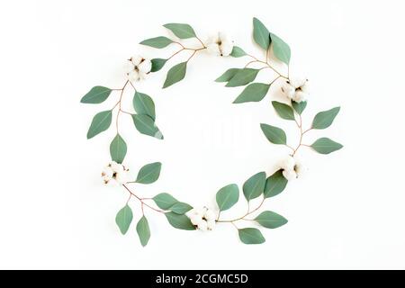 Round frame with branches eucalyptus and leaves isolated on white ...