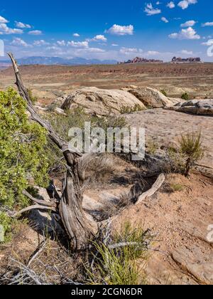 Scenic Drive, Arches National Park, Utah USA Stock Photo