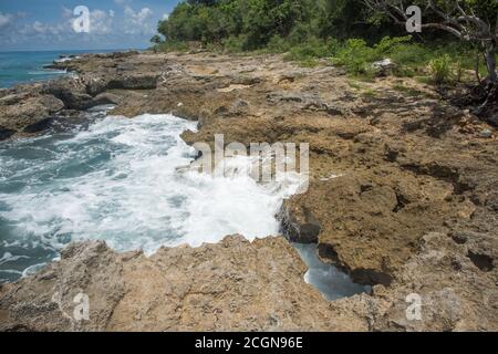 Caribbean Sea coastline with rushing waves into the limestone rock in the Monk's Bath area on the coast of Frederiksted on St. Croix in the USVI Stock Photo