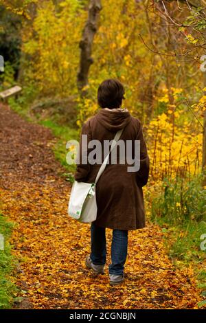 A young woman wearing a long coat and a side bag is walking alone on a path in the woods. Path is covered with brown leaves and she is looking around Stock Photo