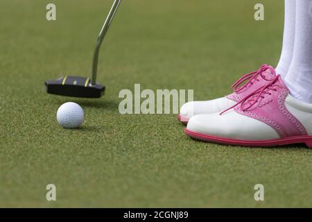 Golfer women preparing for a putt on the green during golf course.  Stock Photo