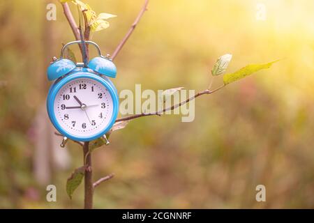 Vintage alarm clock and maple tree leaves in autumn forest.  Autumn season image style. Fall Back Daylight Saving Time concept. Daylight savings time. Stock Photo
