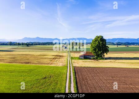 Field path through cultural landscape, near Huglfing, Pfaffenwinkel, Alpine foreland, drone recording, Upper Bavaria, Bavaria, Germany Stock Photo