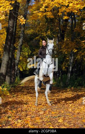 Young woman and her beautiful white arabian stallion rearing up in the autumn woods Stock Photo