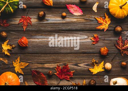 Autumn Composition, Frame Made Of Nuts, Acorns, Chestnuts And Dry 