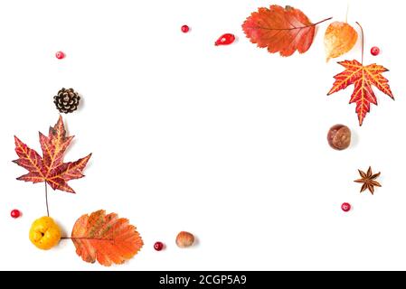 Autumn background. Dried leaves, flowers, berries, nuts, cones isolated on white background. Autumn, fall, thanksgiving day concept. Flat lay, top vie Stock Photo