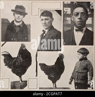 . Baltimore and Ohio employees magazine . Baltimore and Ohio Magazine, March, IQ24. ON THE OHIO DIVISION I. Yard Clerk J. Lungo, Chillicothe. 2. Engineer Charles M. Gilbert and his prize Rhode Island Red rooster, which took first prize at the recent Ross CountyPoultry Show. This photograph will be used as an advertisement by a well known poultry food company. 3. Sectionman James G. Able, Madisonville.4. Charles Jr., son of Engineer Gilbert, and Rhode Island Red rooster junior, which also took first prize for cockeiels at Ross County Poultry Show At the conclusion of the business meetinga delig Stock Photo