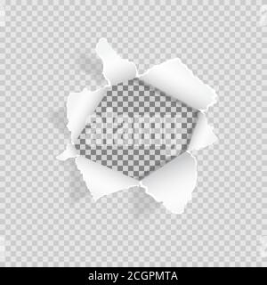 Torn paper on transparent background. Realistic ripped hole in the sheet of paper. Paper with ripped edges and space for text. Design for web, print Stock Vector