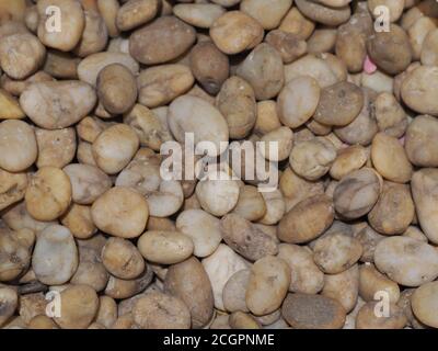 Background of small pebbles round sea stones texture rocks material Stock Photo