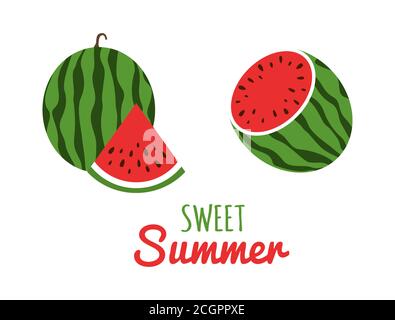 Watermelon icon in a flat style. Juice watermelon set. Red slices of watermelons. Sweet tropic summer background. Vector illustration Stock Vector