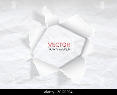 Paper hole with space for text. Torn white crumpled paper background. Paper with ripped edges. Realistic ripped hole in the sheet of paper. Vector Stock Vector