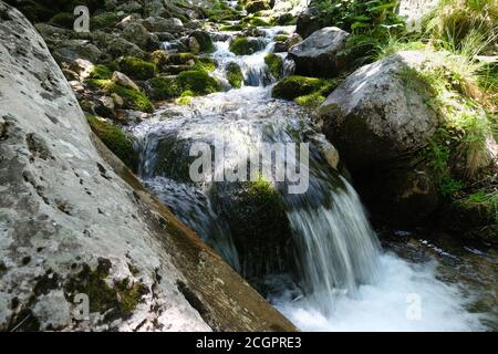 small waterfall produced by the arno stream in the beech forest in the mountain area of the gran sasso and monti della laga italy Stock Photo