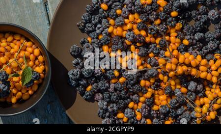 sunny still life of ripe blackberries and buckthorn Stock Photo