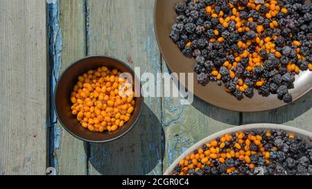 sunny still life of ripe blackberries and buckthorn Stock Photo