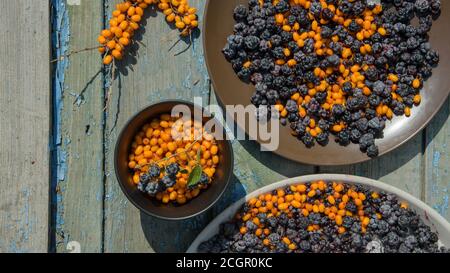 sunny still life of ripe blackberries and buckthorn Stock Photo